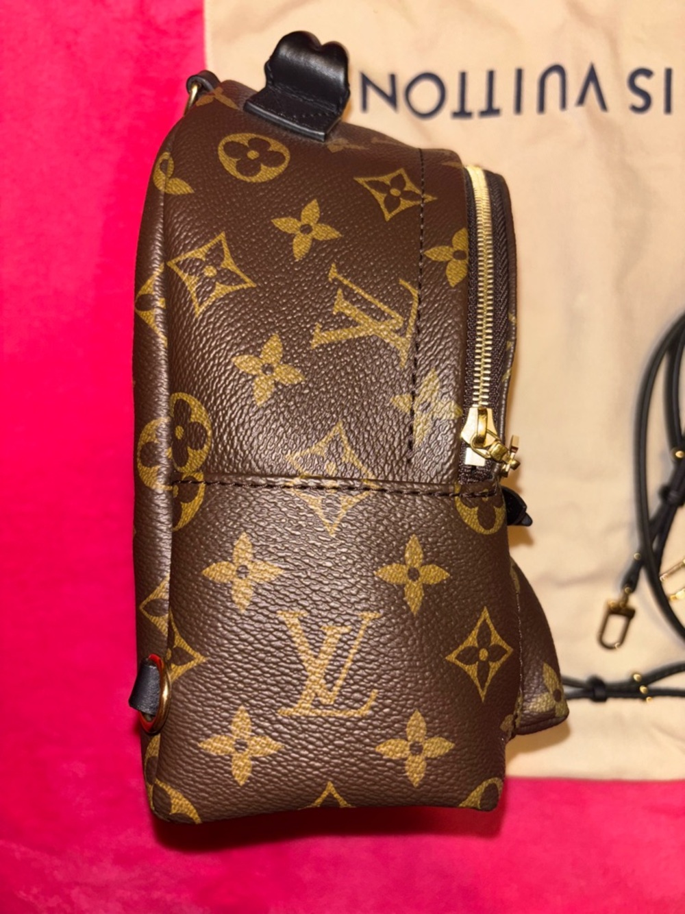 Louis Vuitton Monogram palm springs mini Backpack in Brown with Gold Hardware - Picture 4 of 13